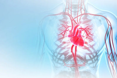 Cardio Care