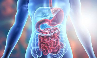 Digestive Health