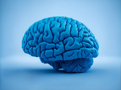 Brain Health