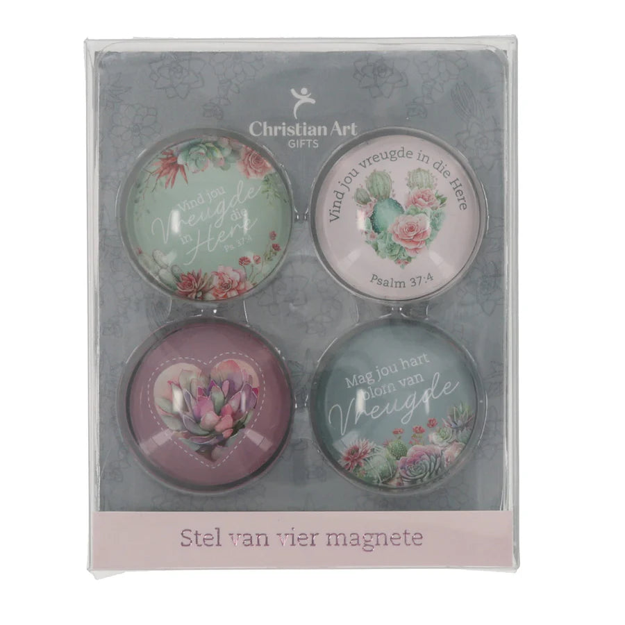 Magnetic set x2 ( Vind Vreugde)
