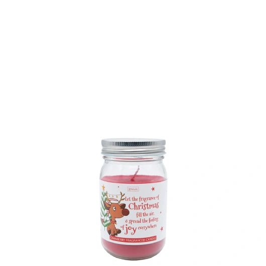 JENAM CHRISTMAS CANDLE 7X12.5CM
