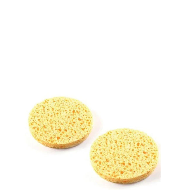 FLAIR MAKEUP REMOVER SPONGE 2